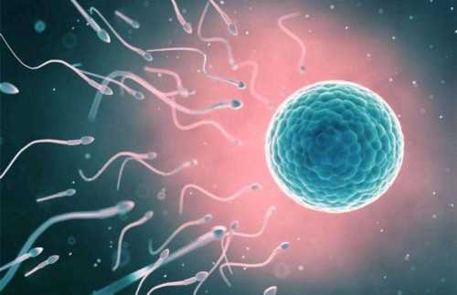 输卵管堵塞是怎么回事？如何避免输卵管堵塞？