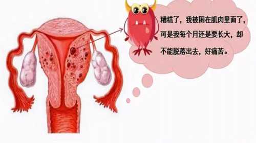 北京协和医院试管婴儿成功率高吗？,外地人在北京做孕前检查需要居住证吗？