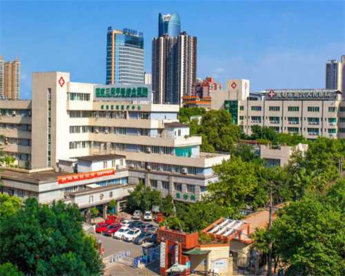 北京解放军总医院301医院试管成功率如何？?