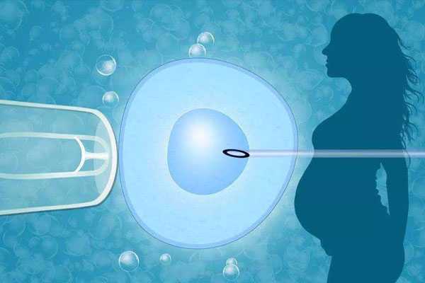 湖州供卵孩子长得像谁_试管移植胚胎成功率高吗？怎么计算成功率？