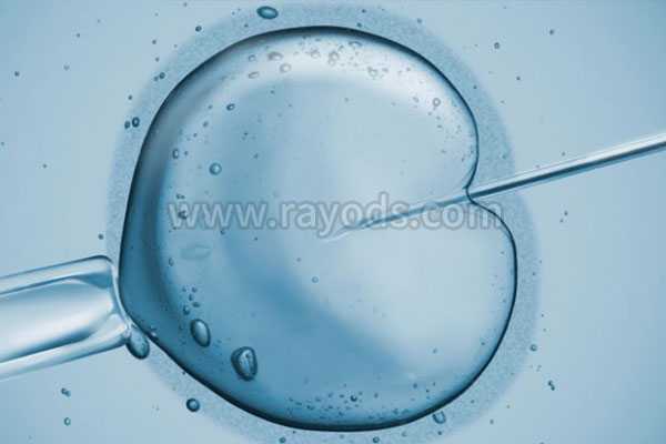 海淀供卵 受罪吗_试管婴儿胚胎移植后怎么保胎？