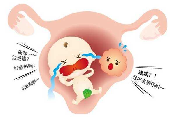 台州怎么联系代生的医生_台州包性别代生套餐_子宫肌瘤患病率达25%，是否影响