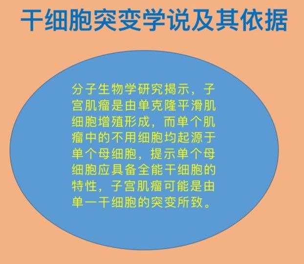 台州怎么联系代生的医生_台州包性别代生套餐_子宫肌瘤患病率达25%，是否影响