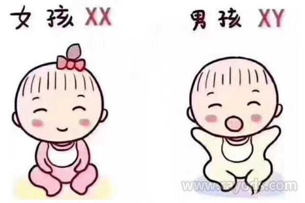 延庆想找一个代生女子_延庆全南代生儿子_美国试管婴儿可以选择三胞胎吗？