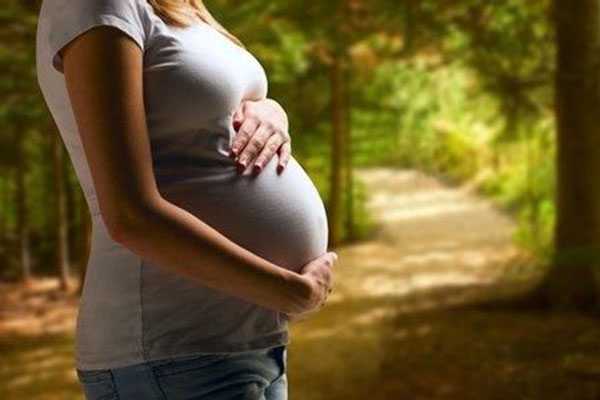 海口2022供卵_海口绝经女人怀孕供卵激素来源_试管婴儿智力会比自然受孕低吗