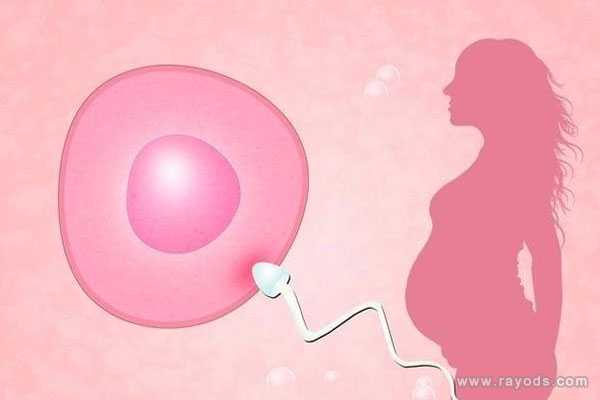 锡林郭勒盟供卵代孕成功率_试管婴儿怀龙凤胎要多少钱 