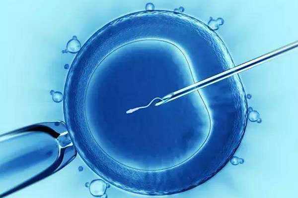 巫山代孕公司微信_试管婴儿为啥很多是双胎甚是多胎呢？