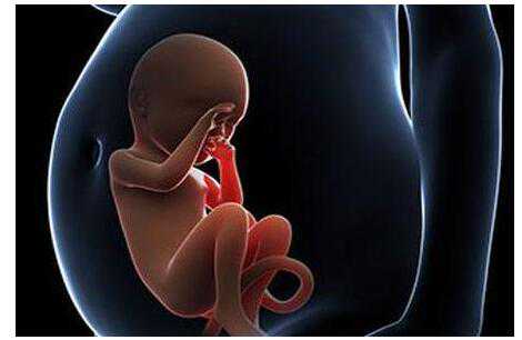 盐城代孕较好医院_美国试管婴儿如何测试女性生育能力