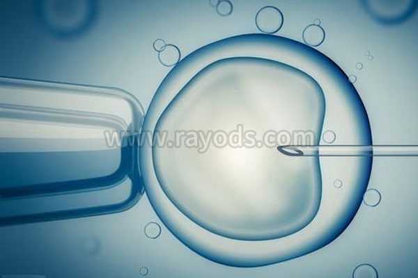 钦州试管代孕花费_钦州最便宜的代孕机构_试管婴儿胚胎分裂8细胞 如何分级别
