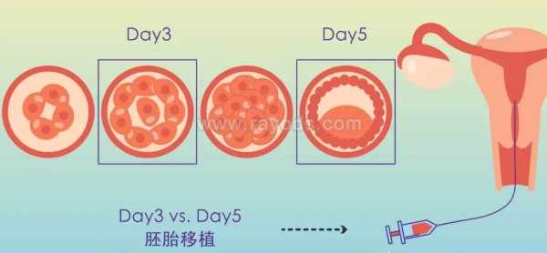 舟山靠谱代孕网_舟山代孕较好医院_分析卵泡发育不良的5个因素 3步提升泰国试