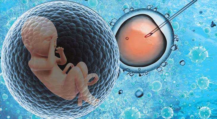 巴南提供代孕的公司有哪些_【试管冻胚移植过程】试管冻胚移植流程时间安排