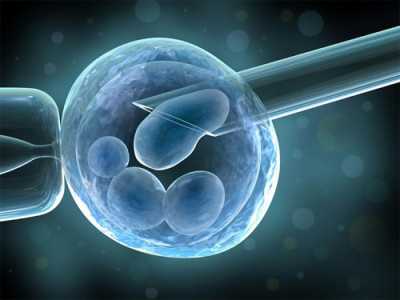 澳门怎么代孕啊_试管婴儿冻胚移植和鲜胚移植的成功率哪个比较高?