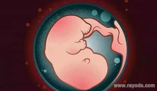 直辖代孕谁做过_ 直辖代孕的手术费用_中国首例供胚试管罗优群，正常生育孩