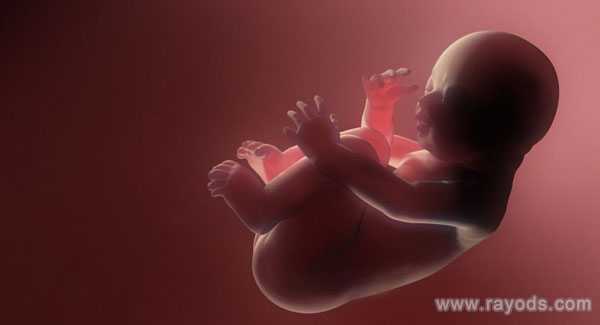 衢州做代孕的危害_衢州代孕的宝宝好吗_泰国试管婴儿攻略之遇到胚胎停育该如
