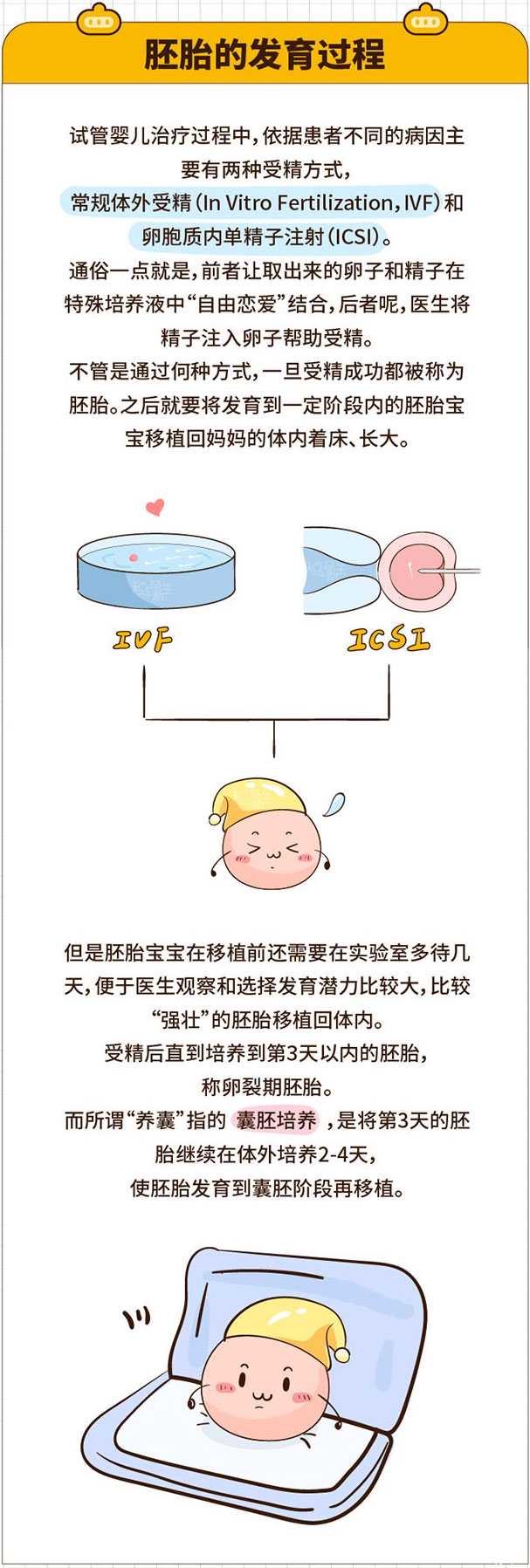 海南藏族代孕服务协议_试管婴儿养囊胚成功率大龄女性做一次试管婴儿要多少