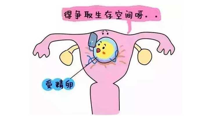 汕头代孕户口_汕头代孕可以龙凤胎吗_准备做试管婴儿，要如何预防宫腔粘连？