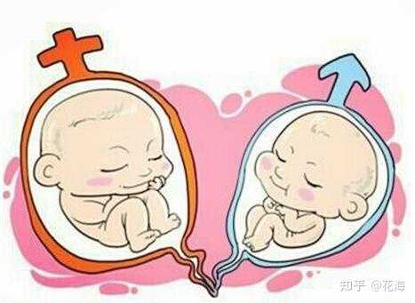 上海有哪些助孕机构公司，做试管助孕一次成功的概率有多少？-输卵管不孕-医
