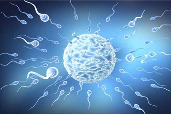 万州代孕在合法吗,最近跟漯河姐妹聊天泰国试管助孕移植2个胚胎是不是就能怀